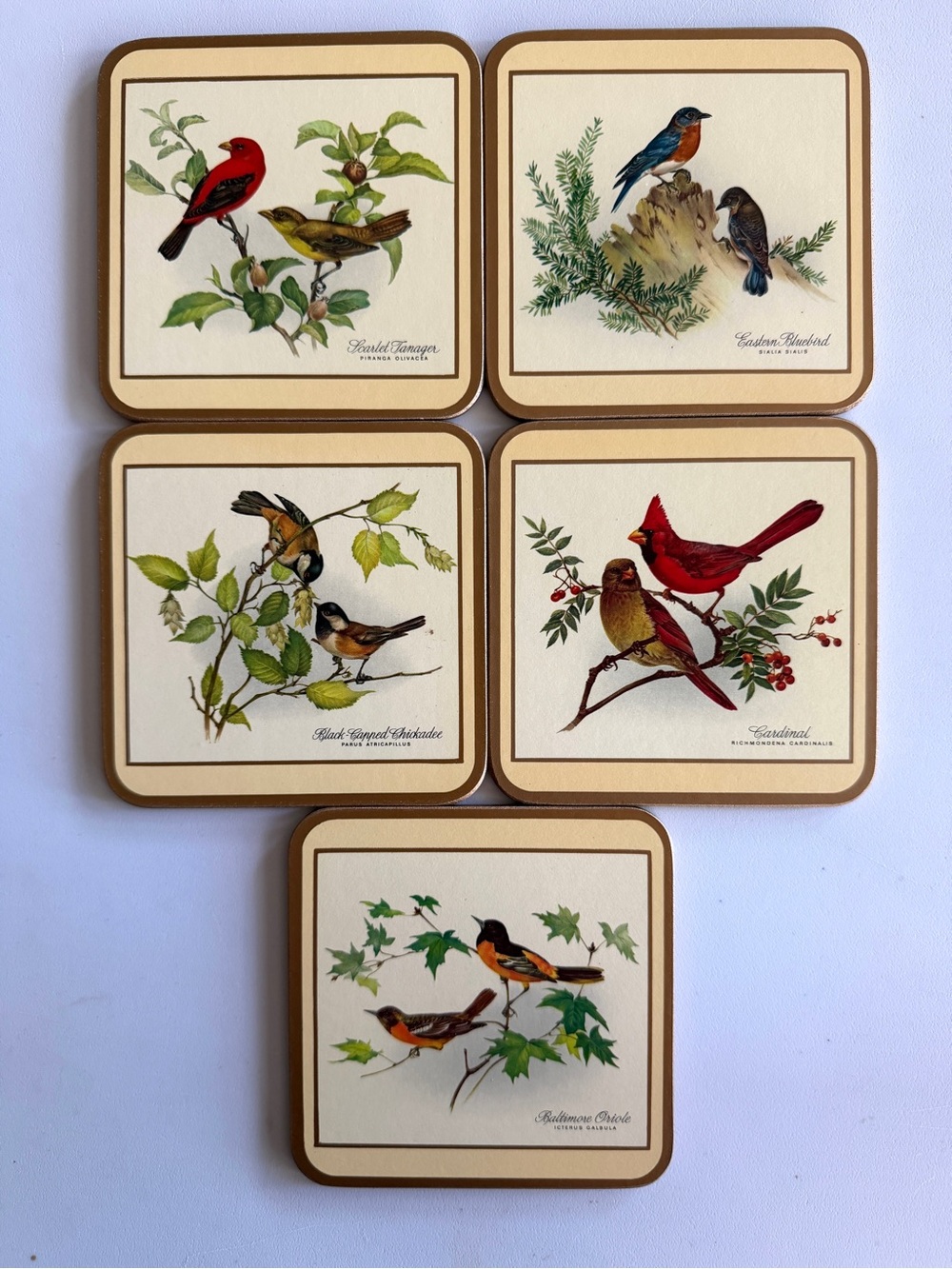 Vintage Pimpernel Coaster Set - North American Songbirds - Set of 5